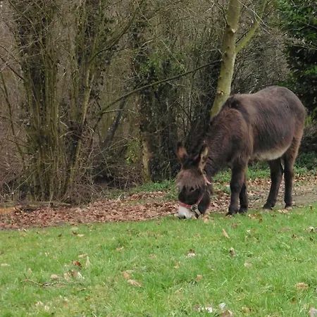 Au Fil De L'eau 別荘 Conchy-sur-Canche